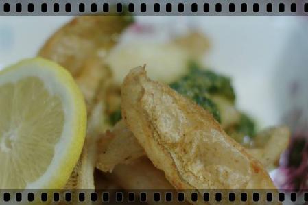 fish 022