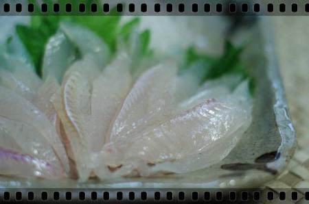 fish 018