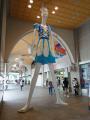 DSC00665_convert_20120923202301.jpg