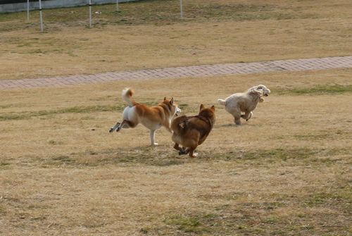 IMG_1870.jpg