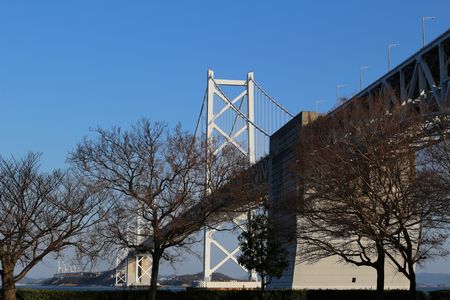 IMG_1891.jpg