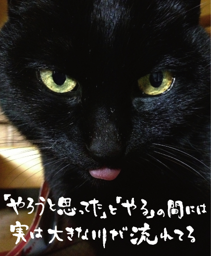名言 芸人交換日記 4月24日の誕生日
