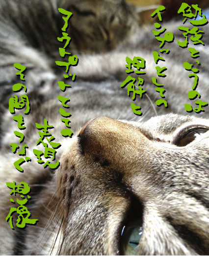 名言 鈴木光司 5月13日の誕生日
