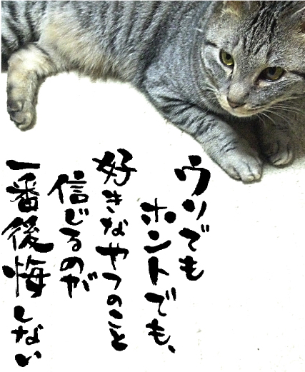 名言 海の天辺 5月14日の誕生日