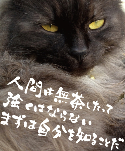 名言 夏目有人帳 5月23日の誕生日