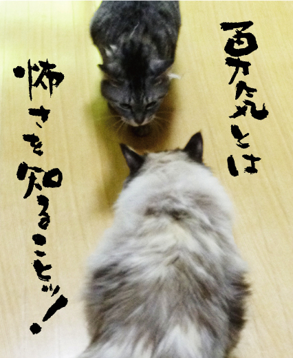 名言 荒木飛呂彦 6月日の誕生日