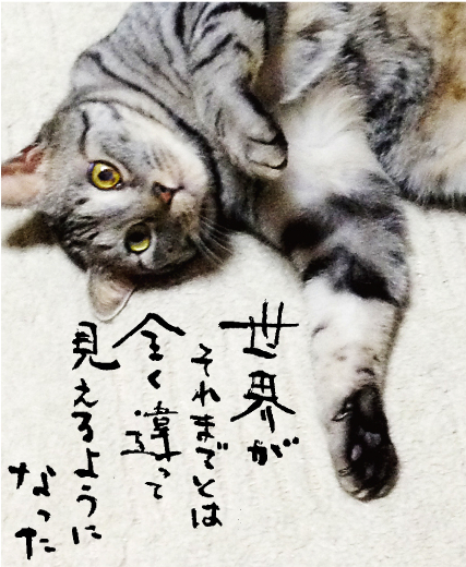 名言 1999年の夏休み 6月8日の誕生日