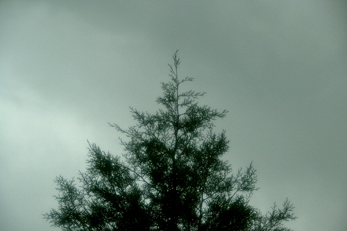 01_20121231000737.jpg