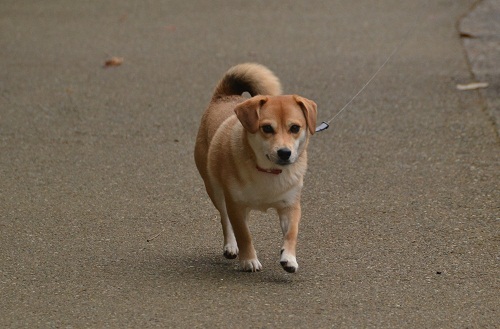 06_20121208214515.jpg