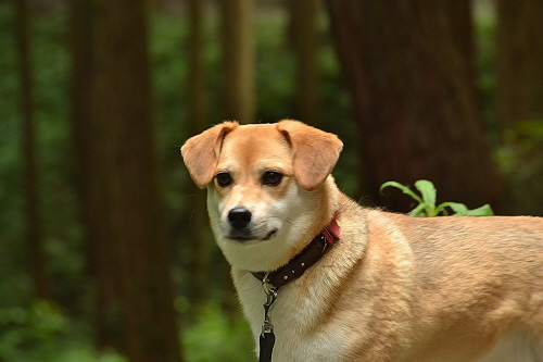08_20120624002732.jpg