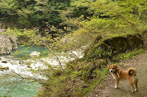 11_20120430225731.jpg