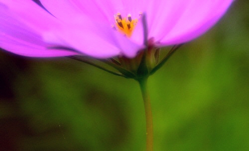 12_20120929212220.jpg