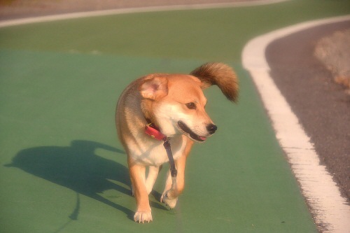 12_20121013002835.jpg