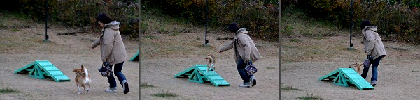12_20121202222349.jpg