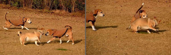 13_20121204212533.jpg