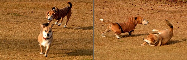 14_20121204212532.jpg
