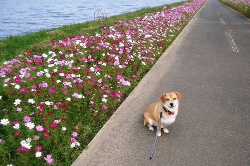 1_20121013233125.jpg