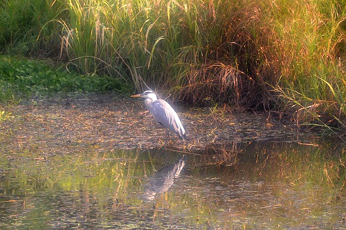 2_20120922224423.jpg
