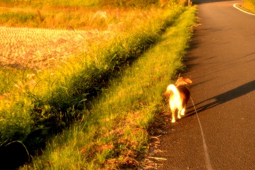 2_20121026222949.jpg