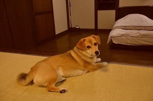 2_20121203221608.jpg