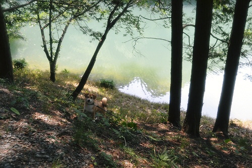 3_20120527215531.jpg