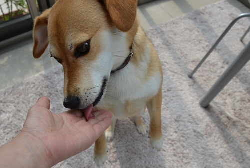 3_20120531090701.jpg