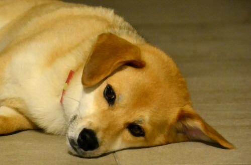 3_20120623001321.jpg
