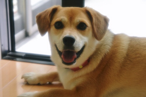 3_20120914230535.jpg