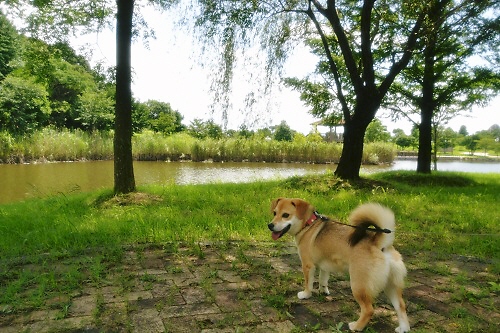 4_20120708002123.jpg