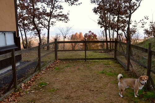 4_20121204212640.jpg