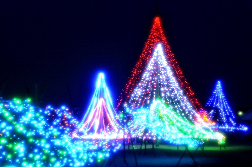 5_20120717220151.jpg