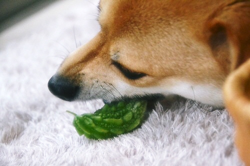 5_20120718230934.jpg