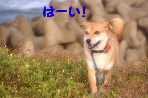 5_20121013000459.jpg