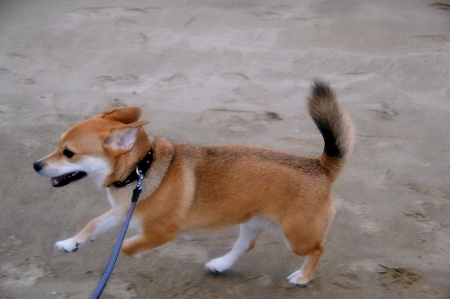 5_20121022220910.jpg