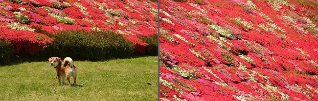 6_20120509204019.jpg