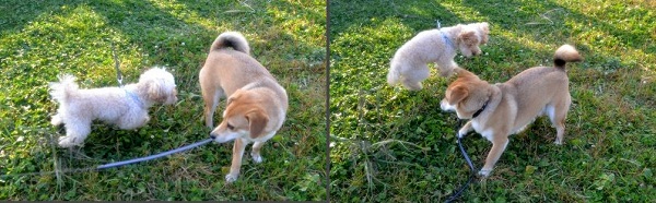 6_20121020233358.jpg