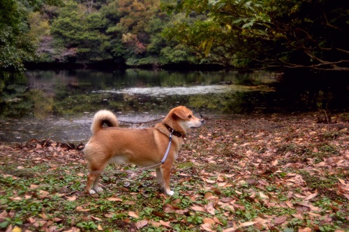 6_20121111113249.jpg