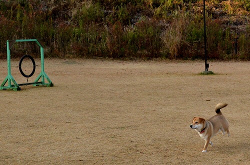 6_20121204212639.jpg