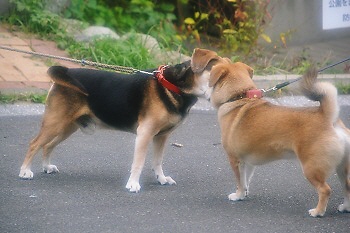 7_20121014224521.jpg