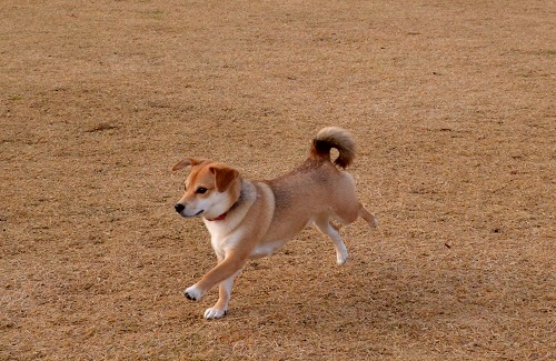 7_20121204212618.jpg
