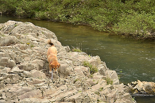 8_20120430225732.jpg