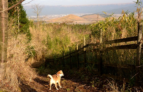 8_20121204212617.jpg