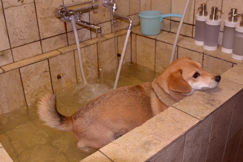 9_20121203221543.jpg