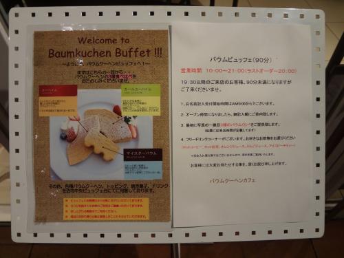 DSC00378.jpg