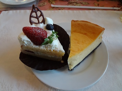 DSC08219.jpg
