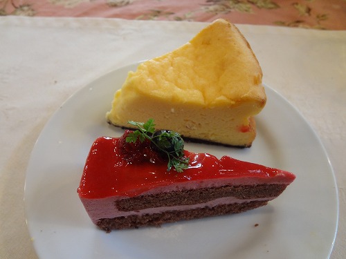 DSC08238.jpg