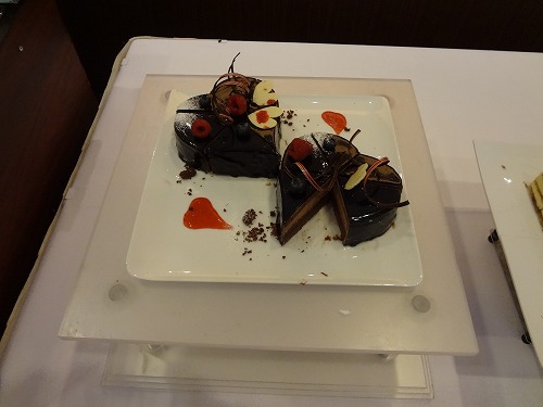 DSC09559_20130214101811.jpg