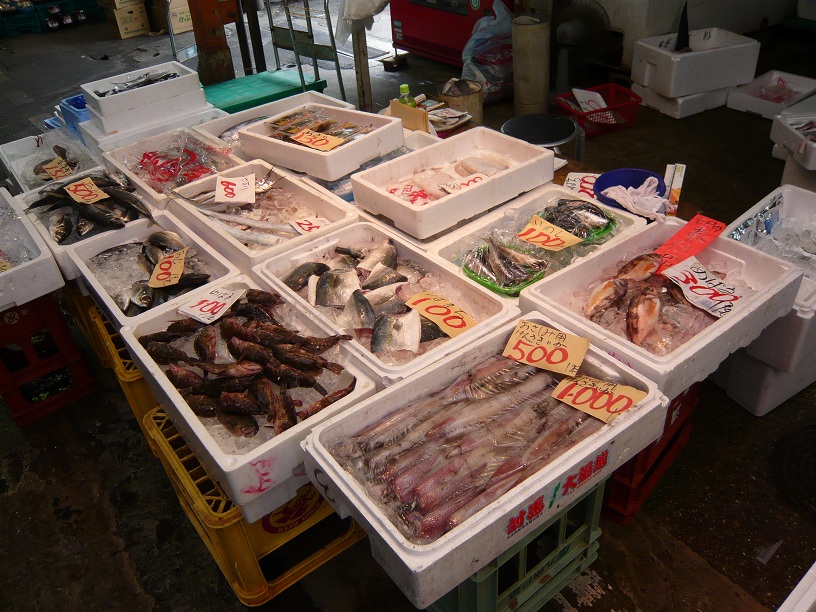 魚1