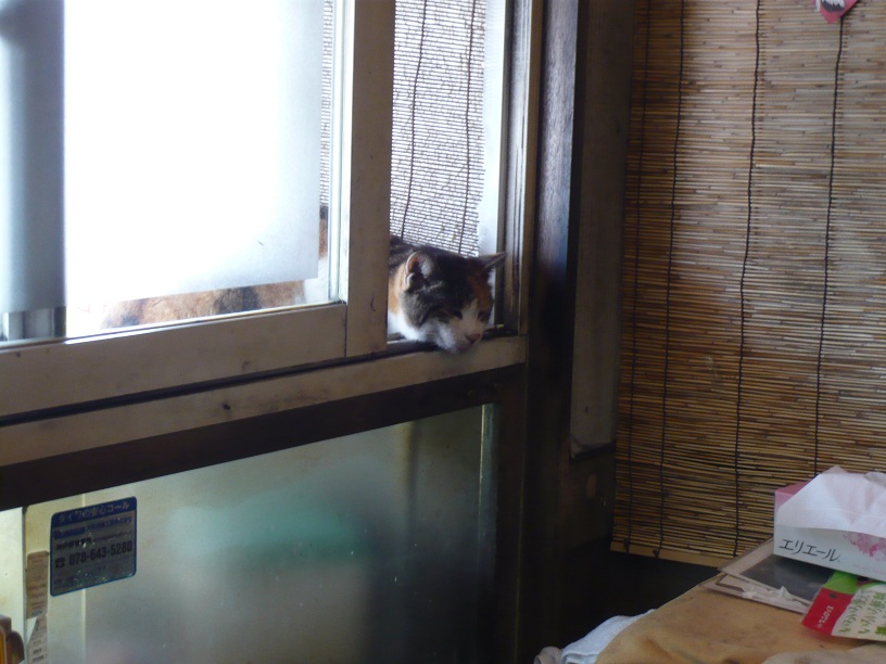 寝て...