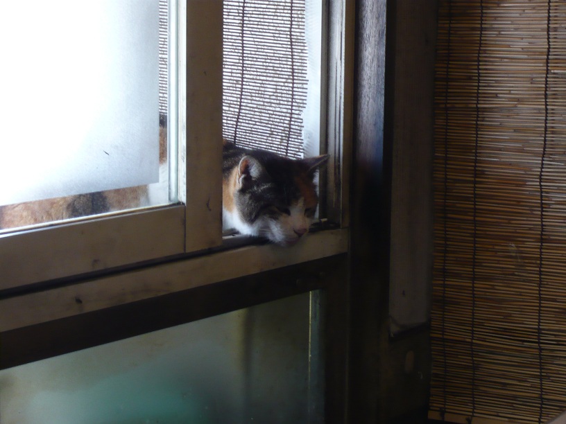 しもた...